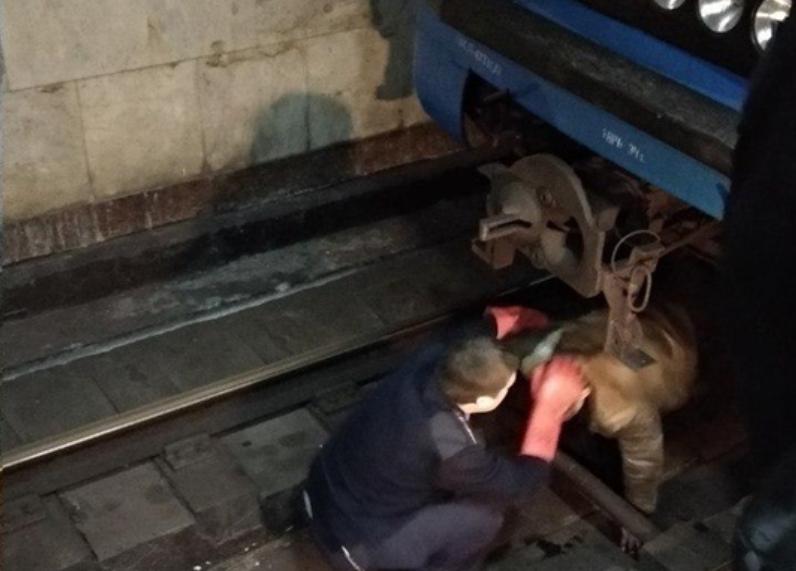 В Харькове мужчина бросился под поезд в метро, пытаясь покончить с собой. Фото: ХХ