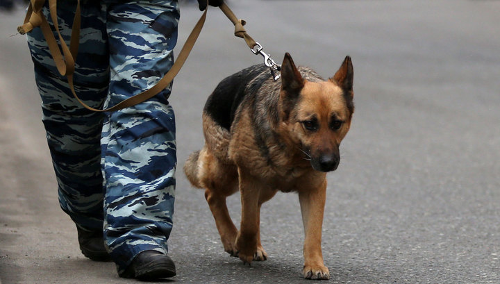 В Харькове полиция ищет взрывчатку в ресторане и на заводах. Фото: hyser.com.ua