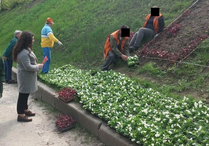 В Харькове алиментщика заставили высаживать цветы. Фото: ГУ Юстиции