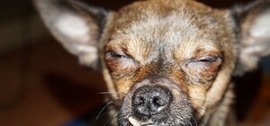 Ослепила: на проспекте сняли слишком яркую вывеску