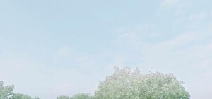 Веломост и искусственные острова: как проходит реконструкция Саржиного яра