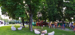 Придется отвоевывать: парк на Солнечном заполонили предприниматели