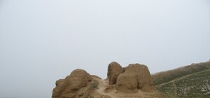 Постоянная экспозиция 