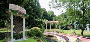 Раз цветочек, два цветочек: на Спивочем поле установят национальный рекорд