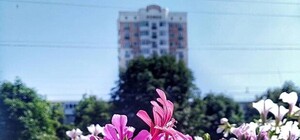 Выходные в Полтаве: как провести летний уикенд в городе