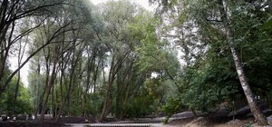 Когда откроют: реконструкция в Саржином яру подходит к концу