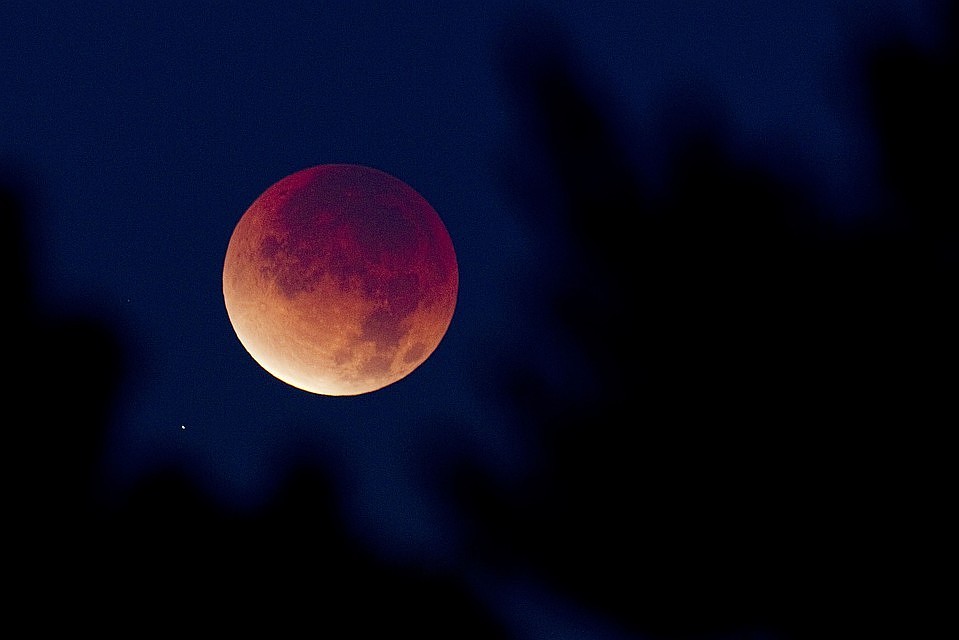 Харьковчане наблюдали за лунным затмением сегодня ночью. Фото: fakty.ua