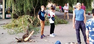 На Мотеле мужчину привалило огромной веткой: его забрала скорая