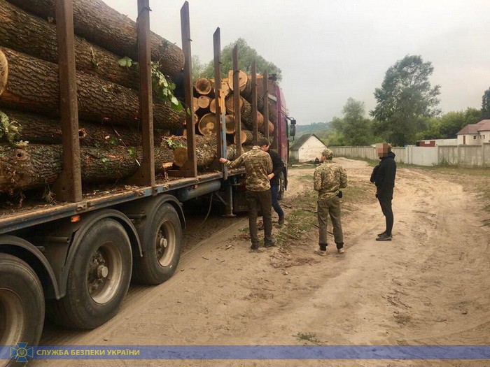 СБУ блокировала масштабные кражи древесины на Харьковщине. Фото: СБУ