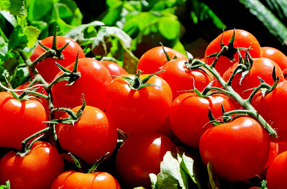 В Харькове подскочили цены на помидоры. Фото: pixabay.com