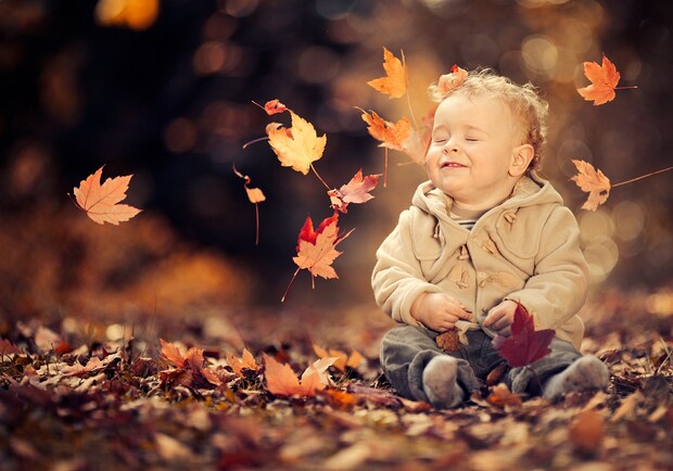 Афиша - Праздники - Праздник «Раскрасим осень в яркий цвет» в Фельдман Экопарк