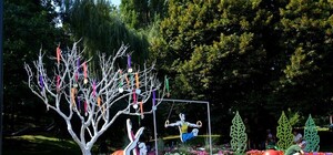 Зацени: как выглядит спортивная выставка цветов на Спивочем поле