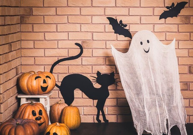 Афиша - Бесплатно - Halloween и День летучих мышей в Фельдман Экопарк