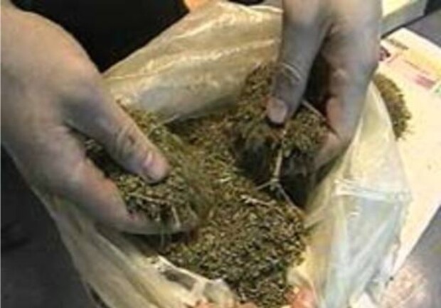 В пакете у 19-летнего луганчанина оказалось более полукилограмма марихуаны. Фото: forpost.tv