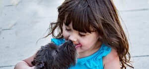 18 локацій: де львів'янам безкоштовно вакцинувати котів і собак