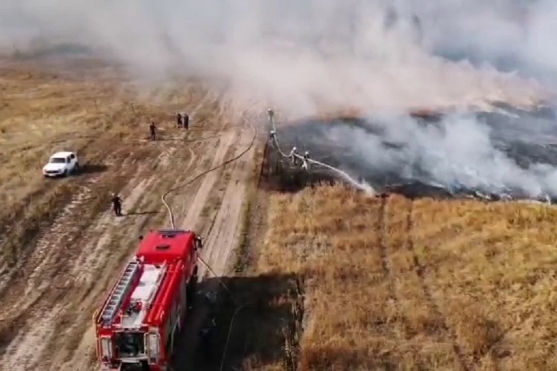 Новость - События - Угроза лесу: под Харьковом тушат масштабный пожар