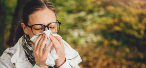 Потерпи, аллергик: почему в городе не будут косить амброзию