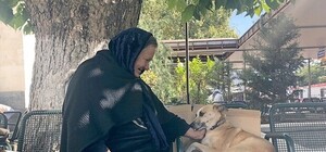 Жизни нет: в Симферополе пенсионерка поселилась на вокзале ради собаки