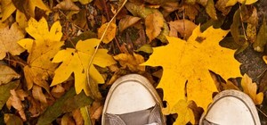 Синоптики розповіли, коли у Львові почнеться бабине літо