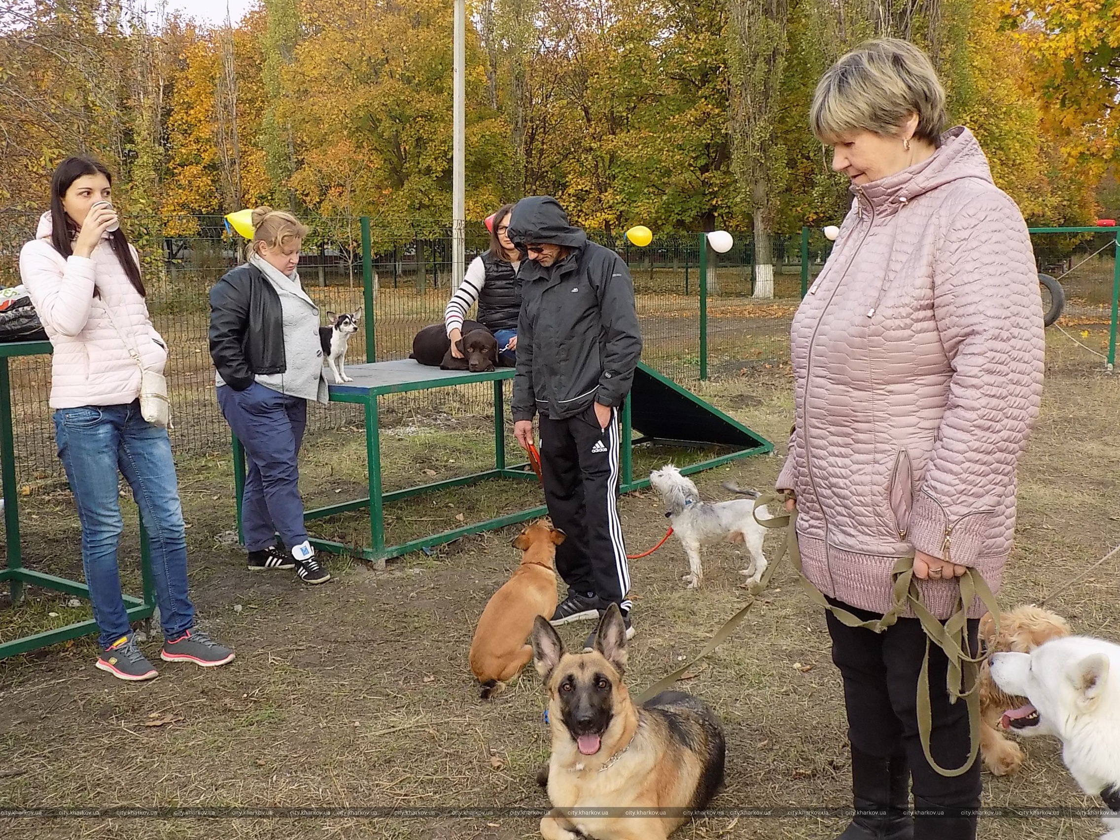 В Харькове открыли новую площадку для выгула собак: адрес. Фото: city.kharkov.ua