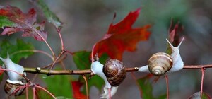 Бабье лето в Крыму: какой будет погода до конца октября