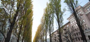 Фотофакт: в центре Киева появился новый арт объект изо льда