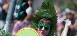 Пошумят под Кабмином: в Киеве пройдет марш за легализацию каннабиса в Украине