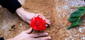 Львів’янку, яка три місяці пролежала у дрогобицькому морзі, нарешті поховали