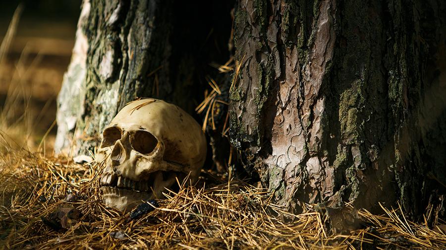 На ХТЗ нашли скелет женщины. Фото иллюстративное: sb.by