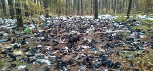 Обувная свалка: в лесу на Дарнице обнаружили гору старых башмаков