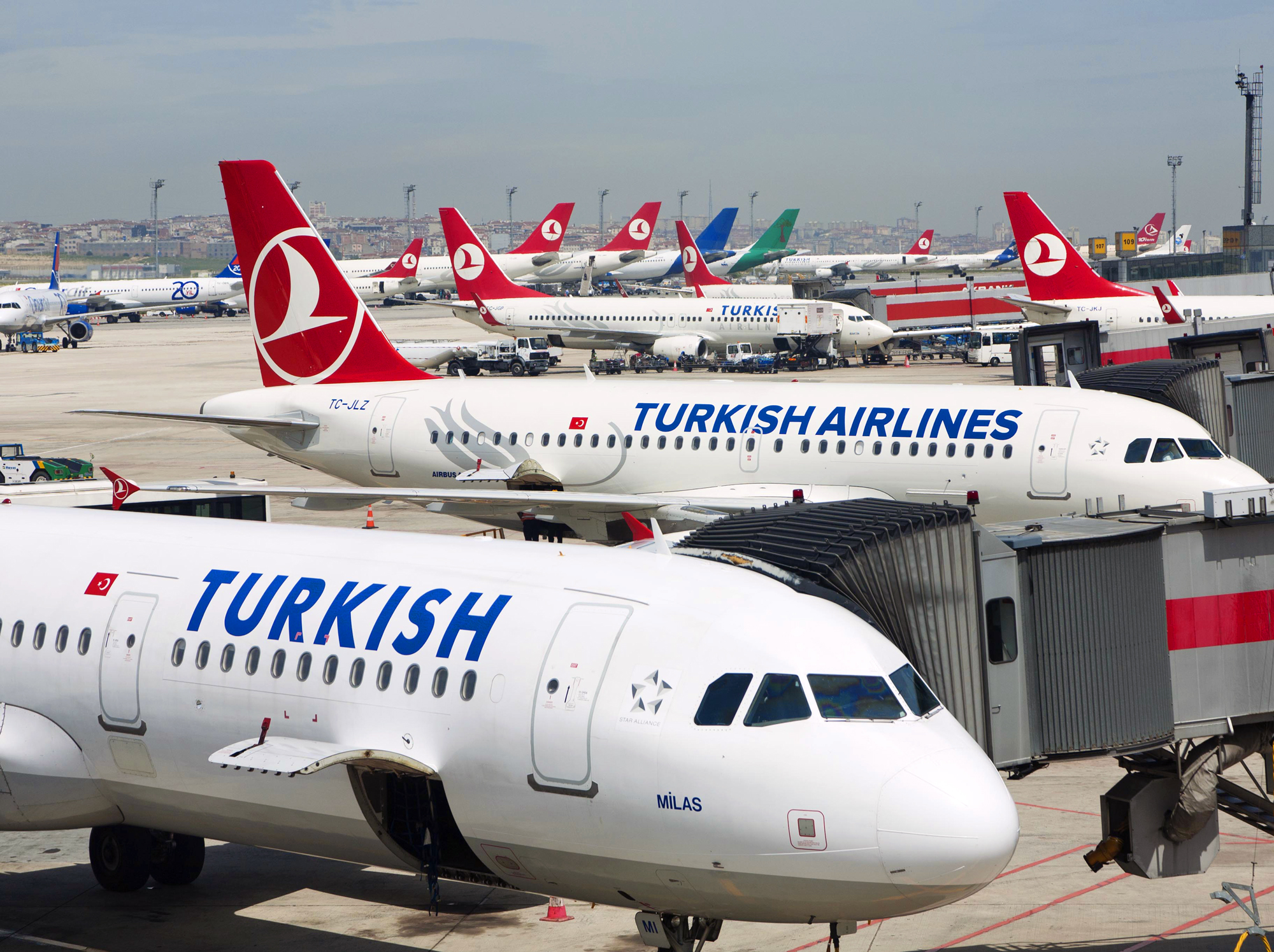 Новость - События - Собирай чемодан: турецкая авиакомпания распродает билеты на Кавказ и Балканы