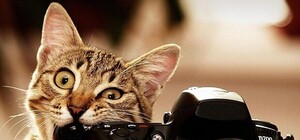 Не пропусти: в Полтаве проведут мастер-класс по съемке видео