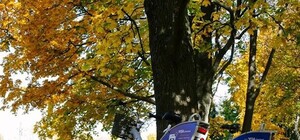 Сезон окончен: в Харькове закрывается Nextbike