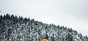 Снежные пейзажи: 9 самых красивых мест Украины, куда стоит поехать зимой