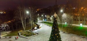 Свято наближається: в Зеленом Гае уже установили елку (фото)