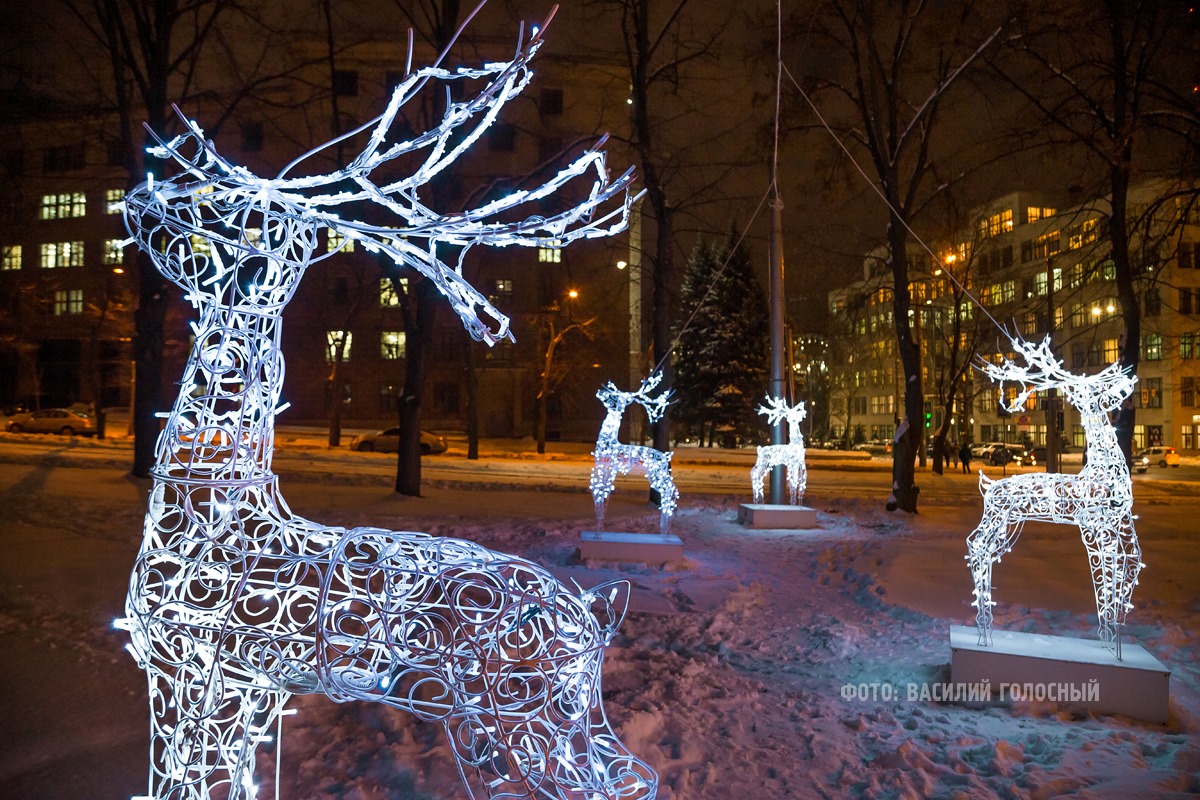 В Харькове появились светящиеся олени. Фото: Василий Голосный