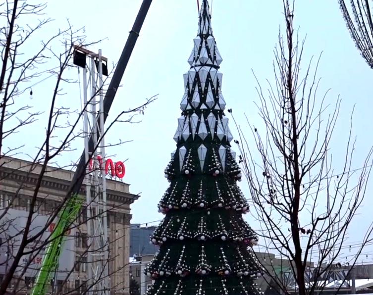 В Харькове на площади Свободы установили новогоднюю елку