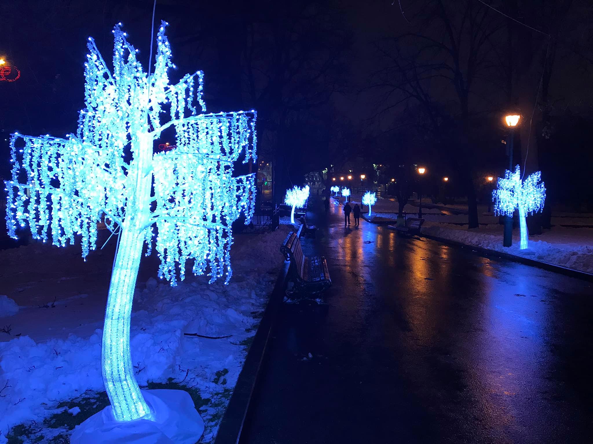 В саду Шевченко "выросли" кристальные деревья. Фото: Харьков City