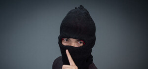 Кража века: на Екатеринославском бульваре похитили оленя