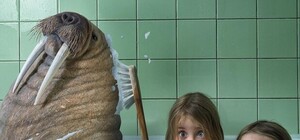 Нужно перекладывать трубы: начальник ХТС рассказал, почему на Алексеевке нет горячей воды