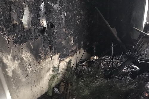 Новость - События - Загорелась елка: мать с ребенком в Харькове чуть не погибли на пожаре