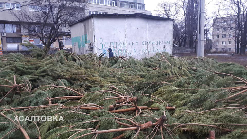 На улицах Харькова появились свалки из непроданных елок. Фото: ХСалтовка