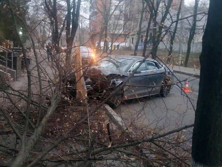 В Харькове машина влетела в дерево. Фото: патрульная полиция