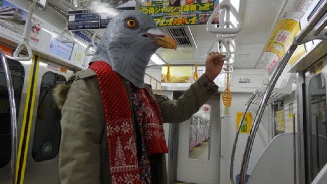 В Харькове ловили голубя в метро. Фото иллюстративное: reddit.com