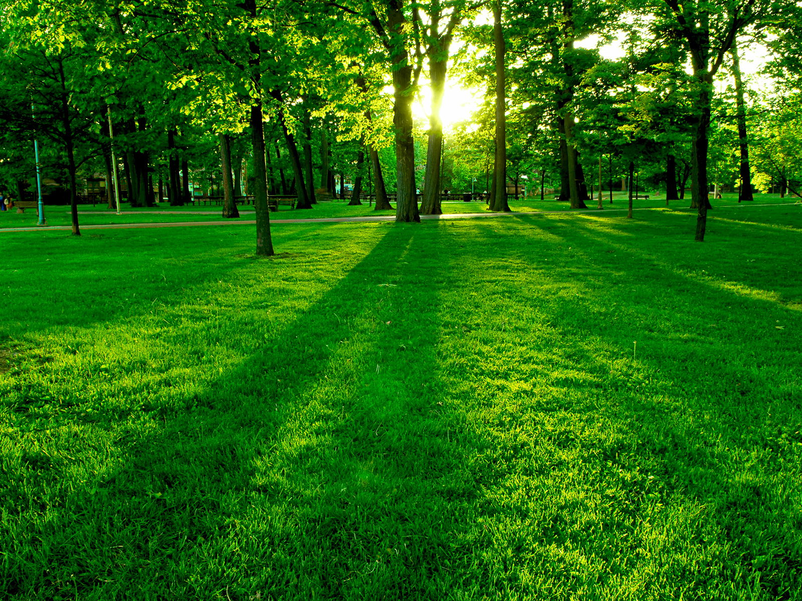 С прогулочной и спортивной зонами: на Печерске обновят сквер