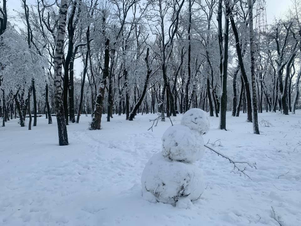 Снежные патриоты и снеговики-качки: полюбуйся на зимние творения днепрян