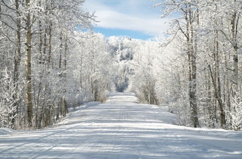 Фото www.visualphotos.com. Сегодян в Харьков будет по-настоящему зимняя погода. 

