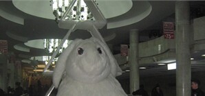 Харьковчане требуют вернуть на 