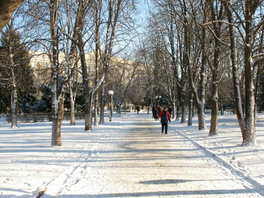 С наступлением 2011 настоящая зимняя погода установилась в Харькове. Фото shakhtyphoto.narod.ru.