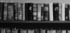 Из-за Евро-2012 библиотеку имени Е. Кушнарева построят позже